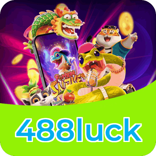 Performance 488luck